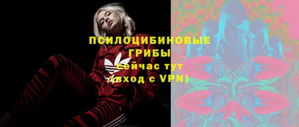 крисы Гусев