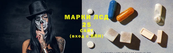 крисы Гусев