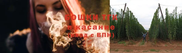 крисы Гусев