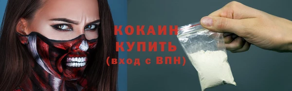 крисы Гусев