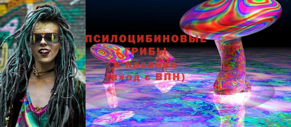 спиды Гусь-Хрустальный