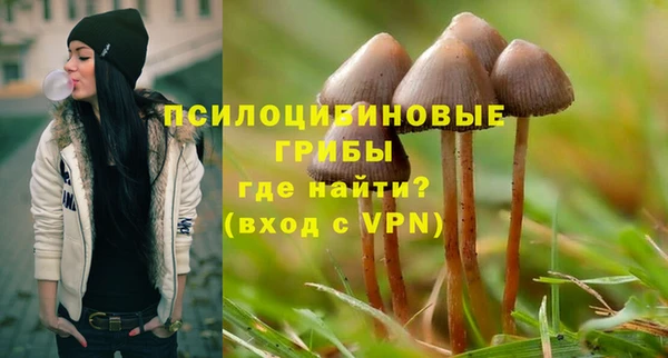 спиды Гусь-Хрустальный