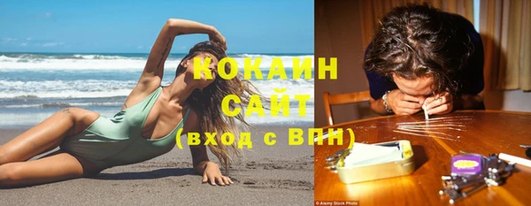 крисы Гусев