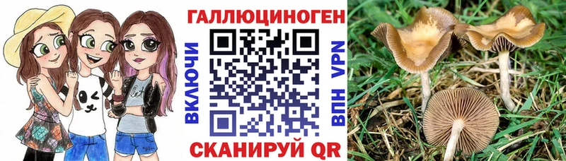 Псилоцибиновые грибы Psilocybine cubensis  Донецк 